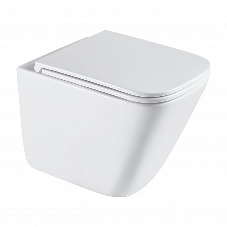 Подвесной унитаз безободковый Terminus Ватикан Monolit 490х340 белый  - фото 2