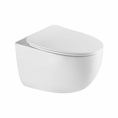 Подвесной унитаз безободковый Terminus Енисей Monolit 560х390 белый  - фото 2
