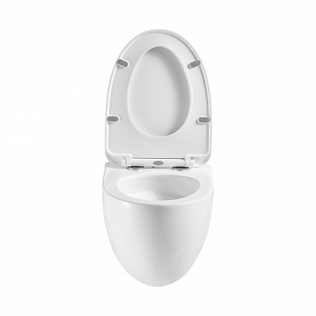 Подвесной унитаз безободковый Terminus Енисей Monolit 560х390 белый  - фото 5