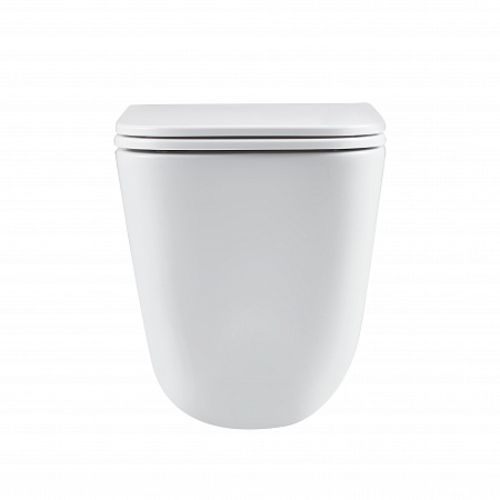 Подвесной унитаз безободковый Terminus Ватикан Monolit 490х340 белый  - фото 6